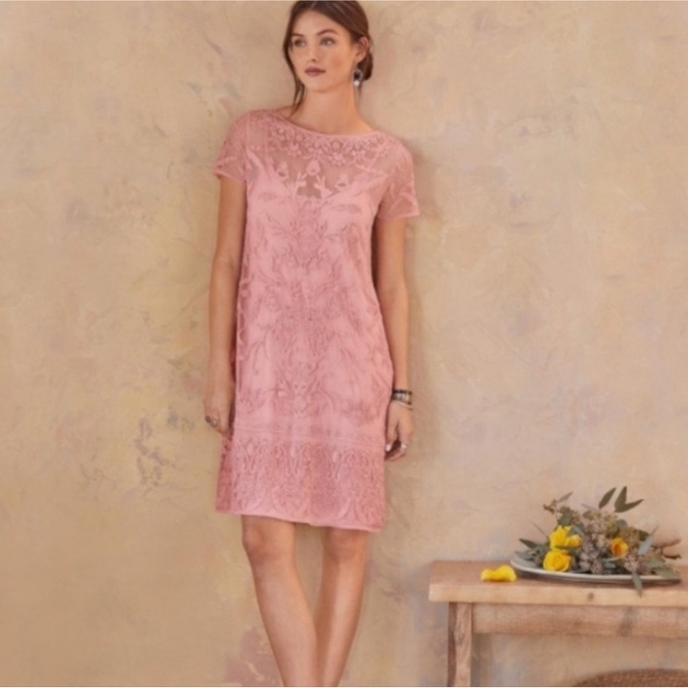 Sundance True Grace Pink Lace Dress Blush‎ Pink Size PXS Coquette Feminine Soft